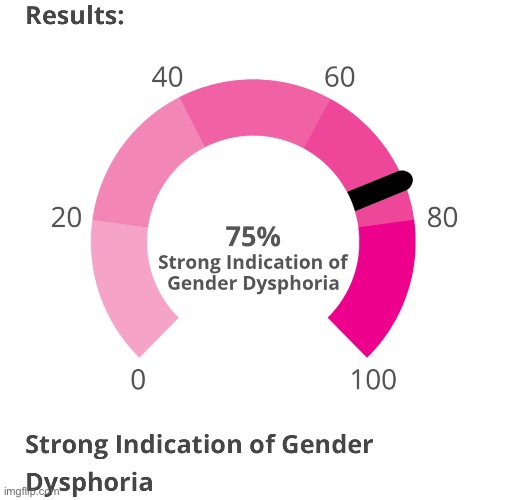 https://www.idrlabs.com/gender-dysphoria/test.php | made w/ Imgflip meme maker