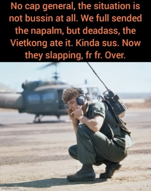 image tagged in gen z,brainrot,vietnam,vietnam war | made w/ Imgflip meme maker