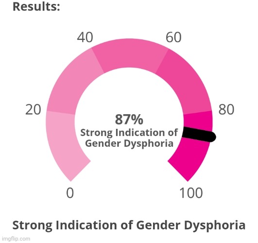 https://www.idrlabs.com/gender-dysphoria/test.php | made w/ Imgflip meme maker