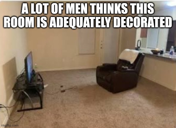 A man's room | A LOT OF MEN THINKS THIS ROOM IS ADEQUATELY DECORATED | image tagged in a man's room | made w/ Imgflip meme maker