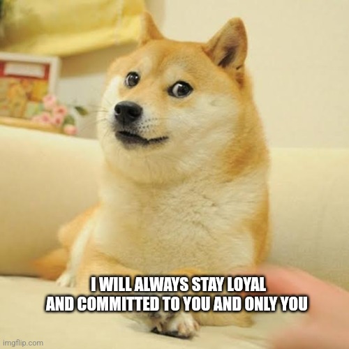 Loyal dog | I WILL ALWAYS STAY LOYAL AND COMMITTED TO YOU AND ONLY YOU | image tagged in loyalty,dog,doge | made w/ Imgflip meme maker