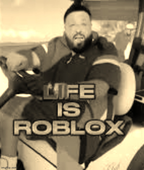 Life is Roblox | image tagged in life is roblox | made w/ Imgflip meme maker