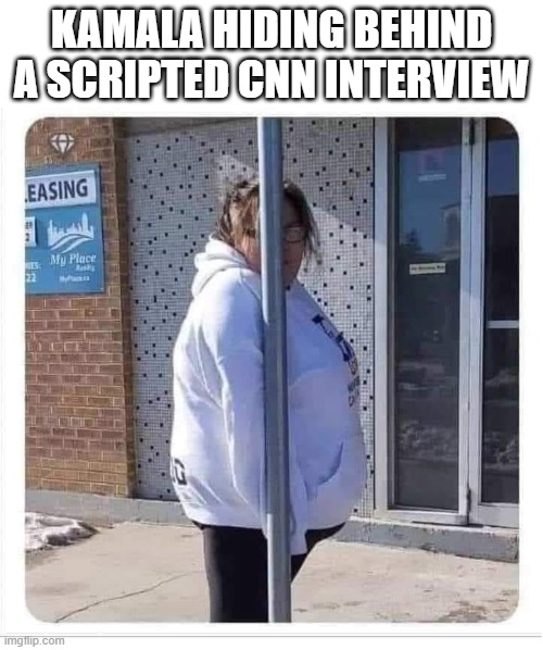 Kamala hiding behind scripted cnn interview | KAMALA HIDING BEHIND A SCRIPTED CNN INTERVIEW | image tagged in woman behind pole,kamala,kamala harris | made w/ Imgflip meme maker