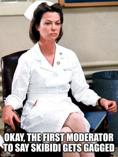 Nurse Ratchet | OKAY, THE FIRST MODERATOR TO SAY SKIBIDI GETS GAGGED | image tagged in nurse ratchet | made w/ Imgflip meme maker