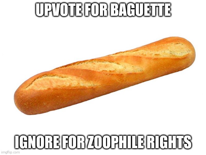 Apparently country invader is being a crybaby over upvote begging. You know what to post. | UPVOTE FOR BAGUETTE; IGNORE FOR ZOOPHILE RIGHTS | image tagged in baguette | made w/ Imgflip meme maker