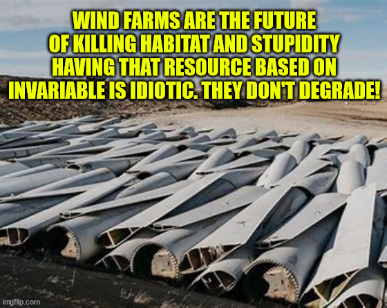 WIND FARMS ARE THE FUTURE OF KILLING HABITAT AND STUPIDITY HAVING THAT RESOURCE BASED ON INVARIABLE IS IDIOTIC. THEY DON'T DEGRADE! | made w/ Imgflip meme maker