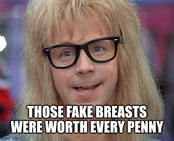 Garth Wayne’s World | THOSE FAKE BREASTS WERE WORTH EVERY PENNY | image tagged in garth wayne s world | made w/ Imgflip meme maker