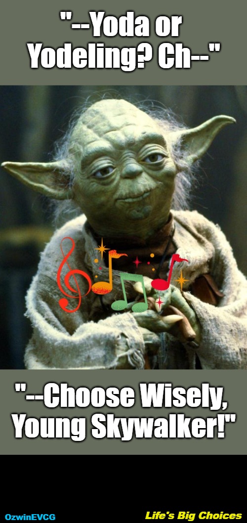 Life's Big Choices | "--Yoda or 

Yodeling? Ch--"; "--Choose Wisely, 

Young Skywalker!"; Life's Big Choices; OzwinEVCG | image tagged in luke skywalker,trying,star wars yoda,patience,sharing is a mixed bag,decisions bad decision | made w/ Imgflip meme maker