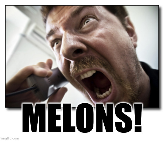 Shouter Meme | MELONS! | image tagged in memes,shouter | made w/ Imgflip meme maker