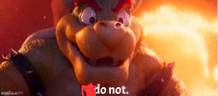 Bowser i do not | image tagged in bowser i do not | made w/ Imgflip meme maker