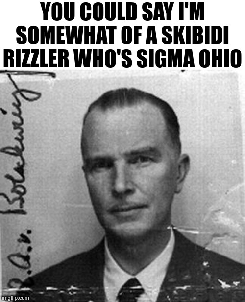 Otto | YOU COULD SAY I'M SOMEWHAT OF A SKIBIDI RIZZLER WHO'S SIGMA OHIO | image tagged in otto | made w/ Imgflip meme maker