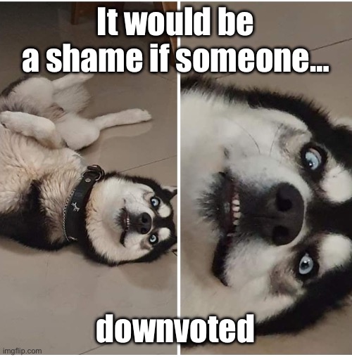 It would be a shame | It would be a shame if someone…; downvoted | image tagged in it would be a shame if someone | made w/ Imgflip meme maker