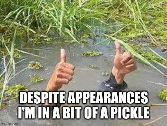 FLOODING THUMBS UP | DESPITE APPEARANCES I'M IN A BIT OF A PICKLE | image tagged in flooding thumbs up | made w/ Imgflip meme maker