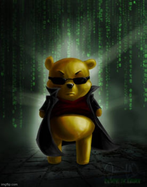 The Matrix Winnie the Pooh | image tagged in the matrix winnie the pooh | made w/ Imgflip meme maker