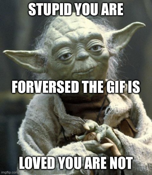 yoda | STUPID YOU ARE LOVED YOU ARE NOT FORVERSED THE GIF IS | image tagged in yoda | made w/ Imgflip meme maker