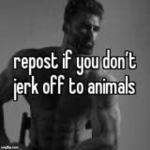 repost if | image tagged in repost if you don't | made w/ Imgflip meme maker