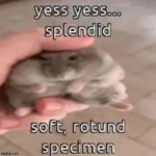 r o t u n d | image tagged in r o t u n d | made w/ Imgflip meme maker