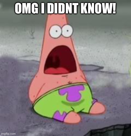 Suprised Patrick | OMG I DIDNT KNOW! | image tagged in suprised patrick | made w/ Imgflip meme maker