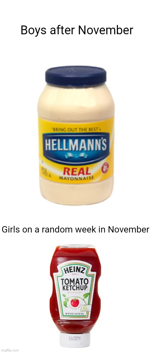 "No, I can't slow down, I can't hold back, even though you know I wish I could" | Boys after November; Girls on a random week in November | image tagged in mayonnaise,ketchup,nnn,period,boys vs girls | made w/ Imgflip meme maker