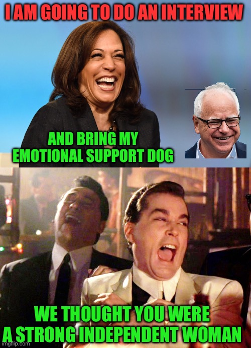 Shouldn’t feminists be outraged you can’t stand on your own. | I AM GOING TO DO AN INTERVIEW; AND BRING MY EMOTIONAL SUPPORT DOG; WE THOUGHT YOU WERE A STRONG INDEPENDENT WOMAN | image tagged in kamala harris laughing,good fellas hilarious,interview,walz,independent | made w/ Imgflip meme maker