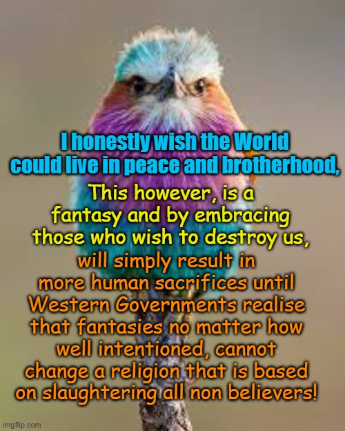 What the World needs now may be love not hate, BUT, the Western Governments need SANITY! | I honestly wish the World could live in peace and brotherhood, This however, is a fantasy and by embracing those who wish to destroy us, will simply result in more human sacrifices until Western Governments realise that fantasies no matter how well intentioned, cannot change a religion that is based on slaughtering all non believers! Yarra Man | image tagged in starmer,uk,europe,australia,islam,invasions | made w/ Imgflip meme maker