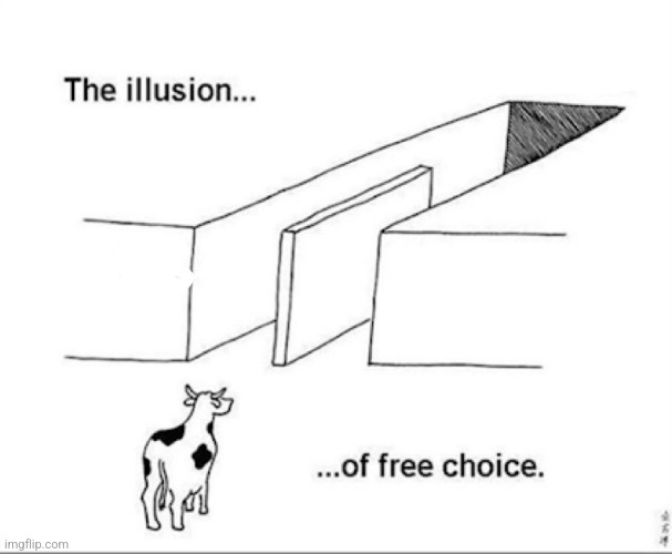 Illusion of free choice | image tagged in illusion of free choice | made w/ Imgflip meme maker