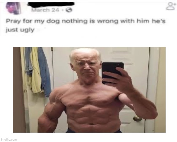 Ugly Dog (insert image) | image tagged in ugly dog insert image | made w/ Imgflip meme maker