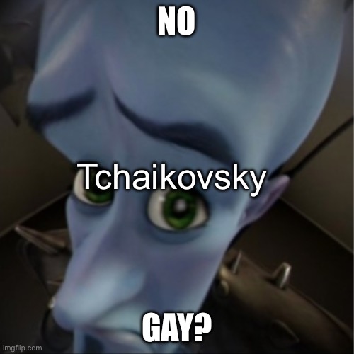 Megamind peeking | NO; Tchaikovsky; GAY? | image tagged in megamind peeking | made w/ Imgflip meme maker