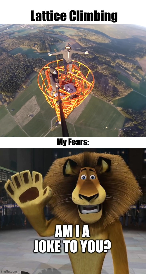 Madagascar movie, meme | Lattice Climbing; My Fears:; AM I A JOKE TO YOU? | image tagged in lattice climbing,madagascar,lion,alex,climbing | made w/ Imgflip meme maker