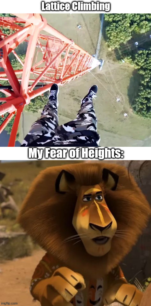 Extreme Sports and Me | Lattice Climbing; My Fear of Heights: | image tagged in lattice climbing,madagascar,lion,alex the lion,climbing,meme | made w/ Imgflip meme maker