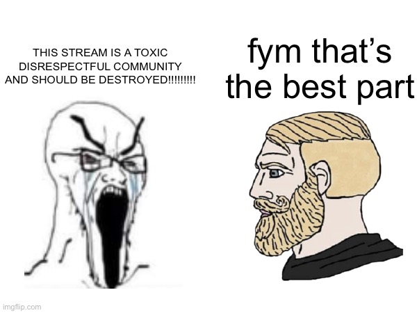 bro we get it shut the fuck up | fym that’s the best part; THIS STREAM IS A TOXIC DISRESPECTFUL COMMUNITY AND SHOULD BE DESTROYED!!!!!!!!! | made w/ Imgflip meme maker