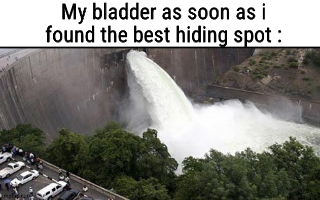 Open Water Dam | My bladder as soon as i found the best hiding spot : | image tagged in open water dam | made w/ Imgflip meme maker