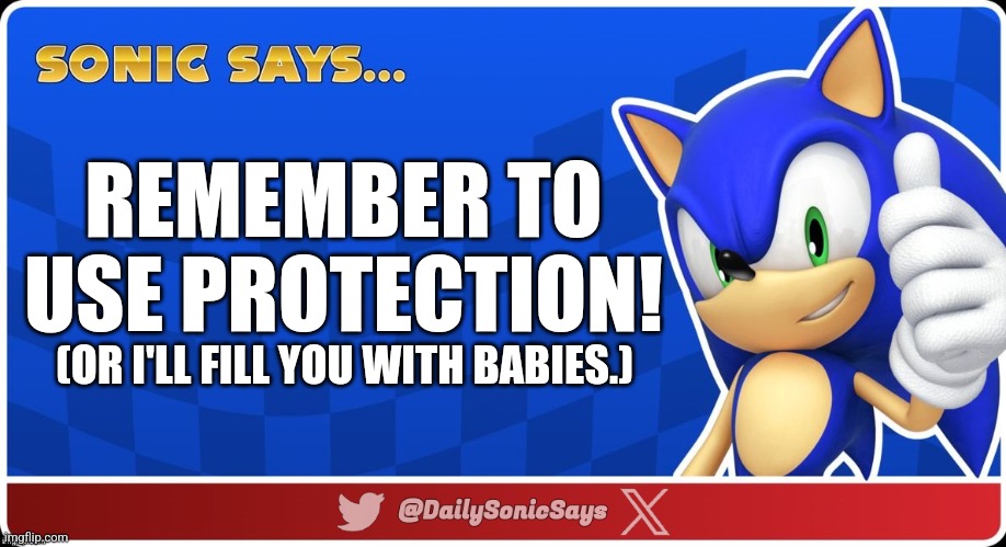 Sonic Says #13 | REMEMBER TO USE PROTECTION! (OR I'LL FILL YOU WITH BABIES.) | image tagged in sonic says v3 | made w/ Imgflip meme maker