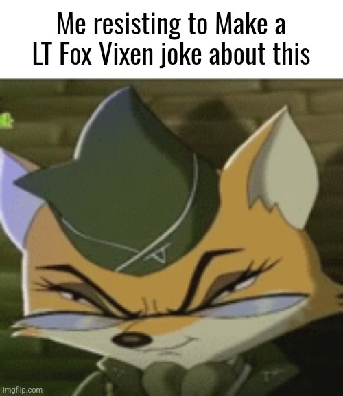 Me resisting to Make a LT Fox Vixen joke about this | made w/ Imgflip meme maker