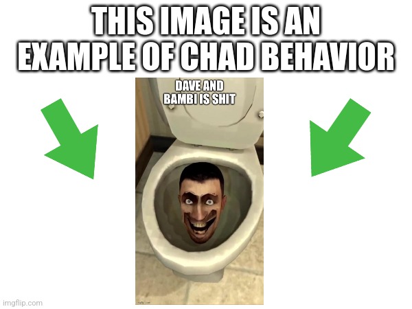 image tagged in this image is an example of chad behavior | made w/ Imgflip meme maker