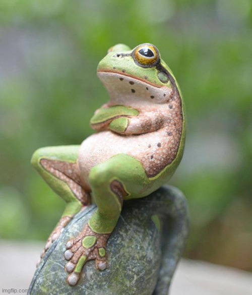nah frog | image tagged in nah frog | made w/ Imgflip meme maker