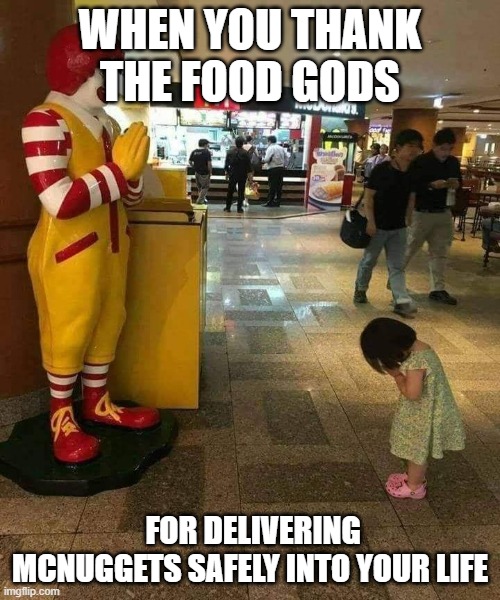 WHEN YOU THANK THE FOOD GODS; FOR DELIVERING MCNUGGETS SAFELY INTO YOUR LIFE | image tagged in memes | made w/ Imgflip meme maker