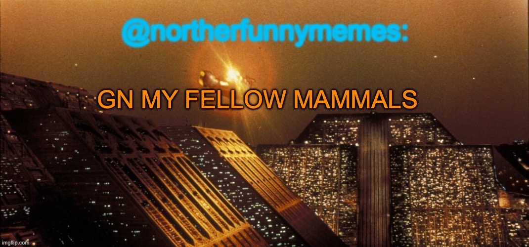 Behapp, accept or deny my offer. Imma sleep, so it's up to you. - Imgflip