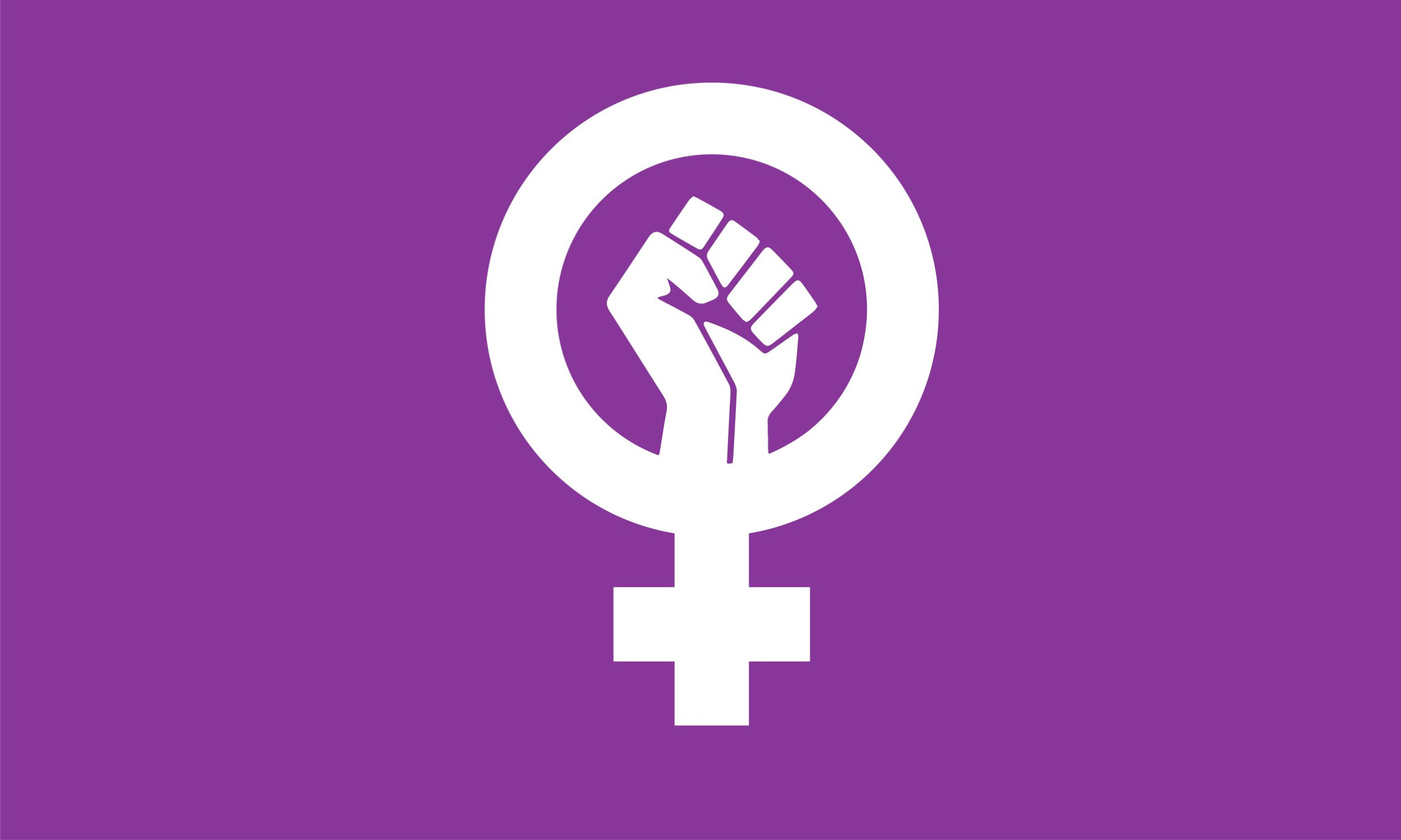 High Quality Feminist flag Blank Meme Template