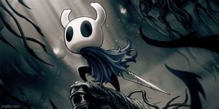 Hollow Knight | image tagged in hollow knight | made w/ Imgflip meme maker