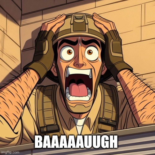 US Soldier Freaking out | BAAAAAUUGH | image tagged in us soldier freaking out | made w/ Imgflip meme maker