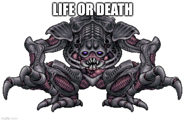 LIFE OR DEATH | made w/ Imgflip meme maker