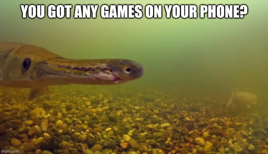 Alligator gar wants to play mobile games | YOU GOT ANY GAMES ON YOUR PHONE? | image tagged in fish,mobile games,fishing | made w/ Imgflip meme maker