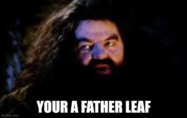 your a wizard harry | YOUR A FATHER LEAF | image tagged in your a wizard harry | made w/ Imgflip meme maker