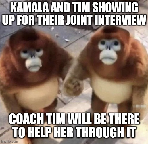 "Sure I can stand up to Putin, but not a one on one interview" | KAMALA AND TIM SHOWING UP FOR THEIR JOINT INTERVIEW; COACH TIM WILL BE THERE
TO HELP HER THROUGH IT | image tagged in monkey s holding hands,democrats,kamala harris | made w/ Imgflip meme maker