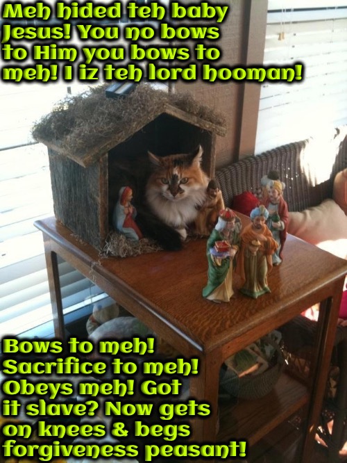 Ahem, I Iz Teh Lord | Meh hided teh baby Jesus! You no bows to Him you bows to meh! I iz teh lord hooman! Bows to meh! Sacrifice to meh! Obeys meh! Got it slave? Now gets on knees & begs forgiveness peasant! | image tagged in cats,memes,cat overlord,cat worship,manipulative turd,funny | made w/ Imgflip meme maker