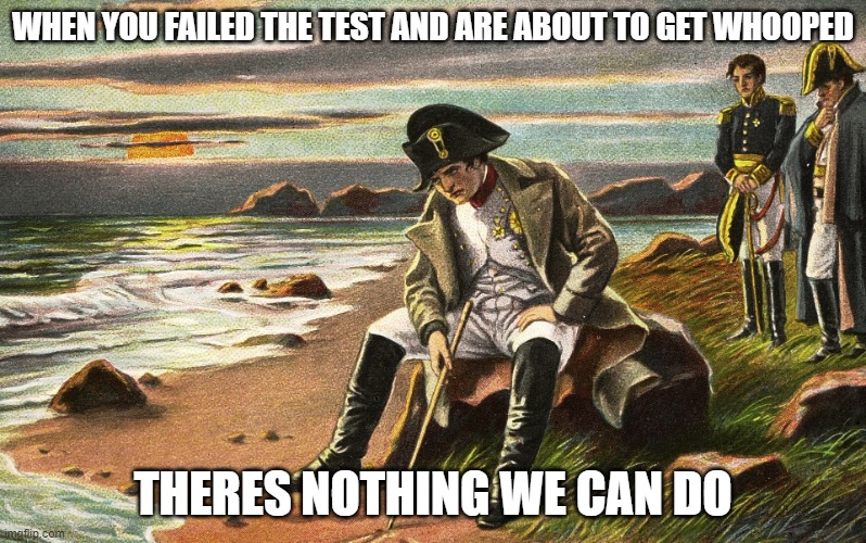 Napoleon | WHEN YOU FAILED THE TEST AND ARE ABOUT TO GET WHOOPED; THERES NOTHING WE CAN DO | image tagged in napoleon,punishment,failed,test,relatable | made w/ Imgflip meme maker