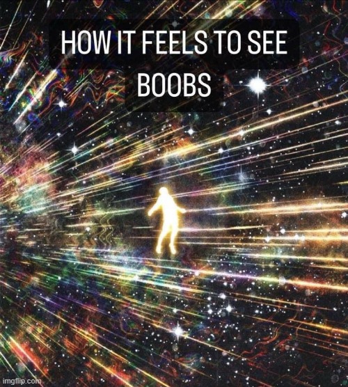 See boobs | image tagged in see boobs | made w/ Imgflip meme maker