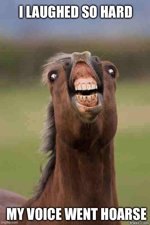 Horse humour | I LAUGHED SO HARD MY VOICE WENT HOARSE | image tagged in horse face | made w/ Imgflip meme maker