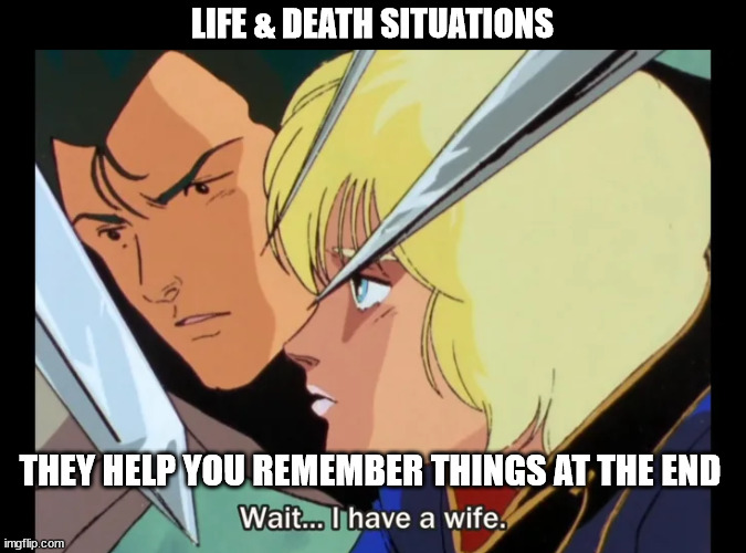 Life & Death | LIFE & DEATH SITUATIONS; THEY HELP YOU REMEMBER THINGS AT THE END | image tagged in gundam,remember | made w/ Imgflip meme maker